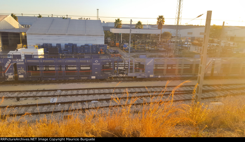 Yard for Autoracks in Valencia Ford Assembly Plant